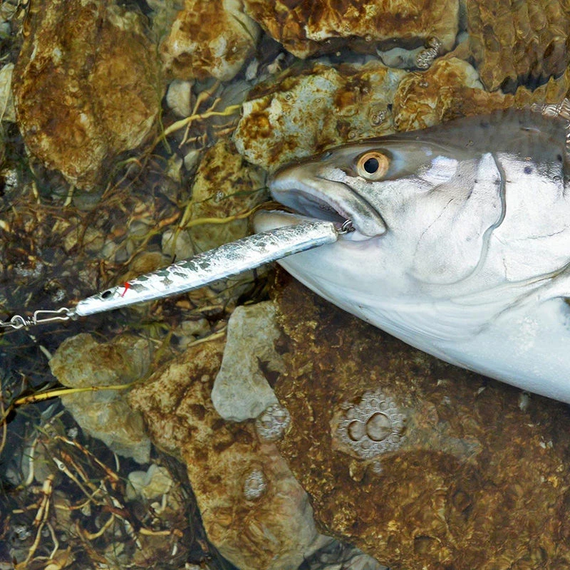 Westin Salty Lures